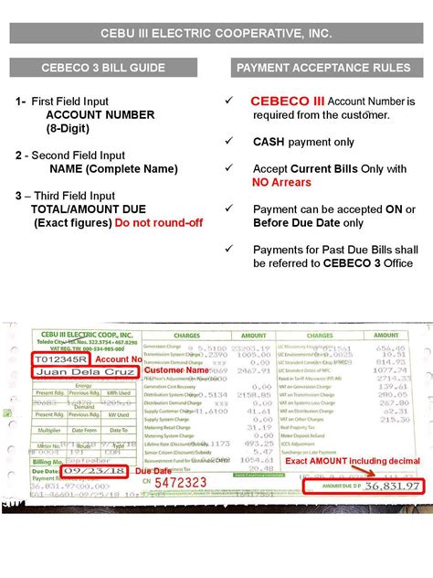 cebeco 3 bill inquiry|Cebu 3 Electric Cooperative, Inc. .